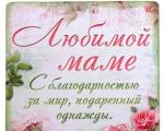 Mother's Day - a beautiful and funny congratulation to mom in prose