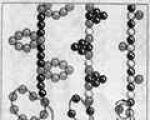 Artisanat à base de perles - une description des modèles de fabrication et de tissage de jouets simples et beaux pour débutants (110 photos) Broche en perles