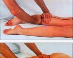 Basic techniques of therapeutic massage