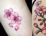 Cherry tattoo - meaning and sketches for girls and men