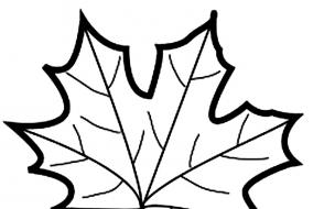 Leaf templates (100 pictures and stencils) Coloring pages of autumn tree leaves with name