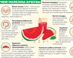 Mnenje nutricionistov o koristih in škodi lubenice za hujšanje