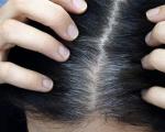Bojanje sijede kose: razumijemo sve zamršenosti (20 fotografija prije i poslije) Kako obojiti sijedu kosu